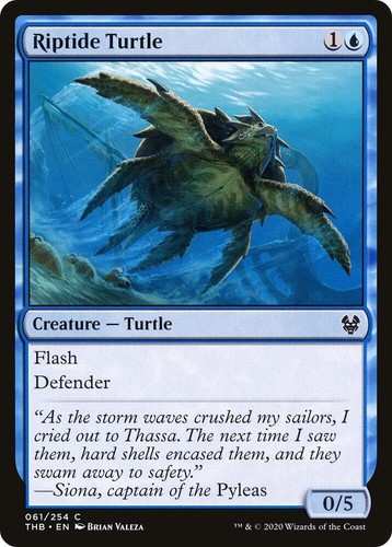 Riptide turtle common - 61,
